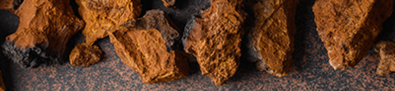 THE CHAGA MUSHROOM: DOSAGE AND INTAKE