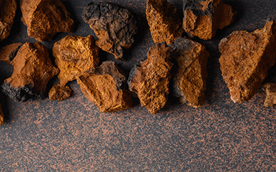 THE CHAGA MUSHROOM: DOSAGE AND INTAKE